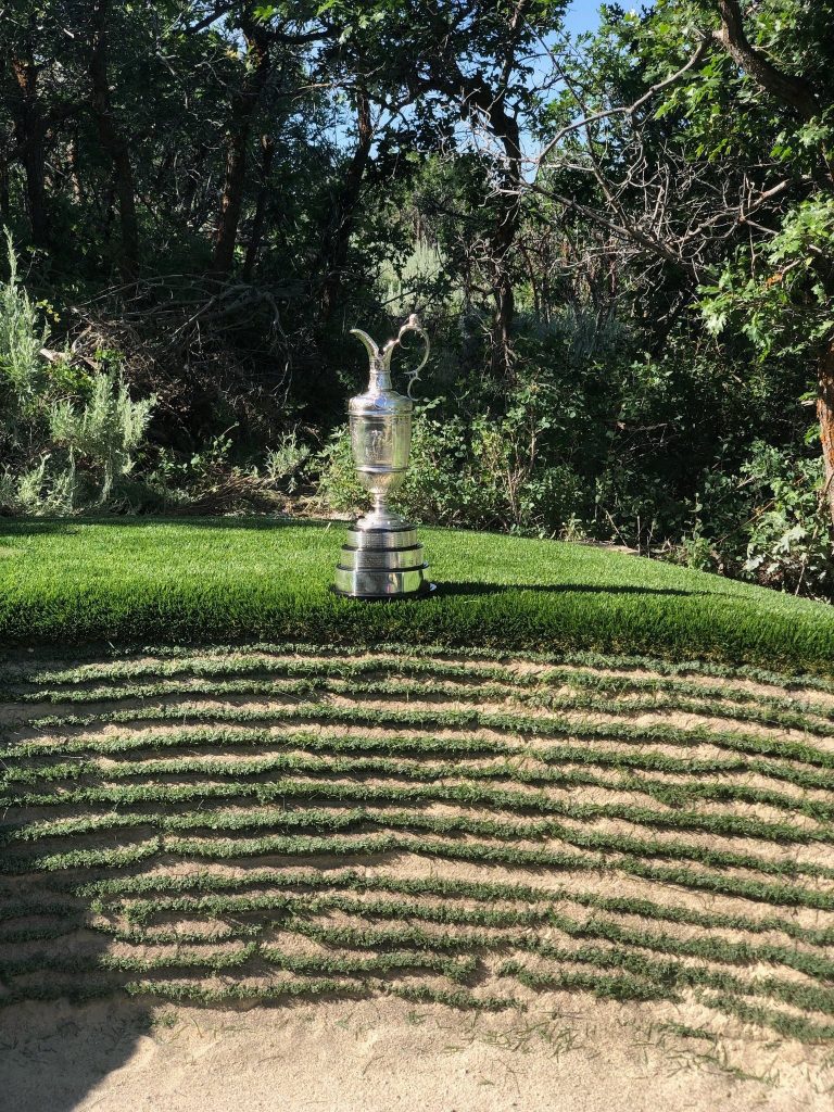 artificial backyard putting green on Pga Champion Mark O Meara S 3 000sf Celebrity Greens Golf Complex With Custom Putting Green Celebrity Greens