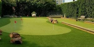 Putting Green and Sports Turf