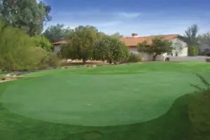 private synthetic turf golf green design