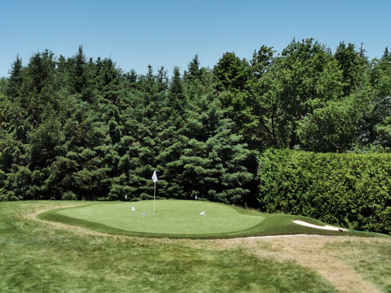 Artificial Grass Putting Green