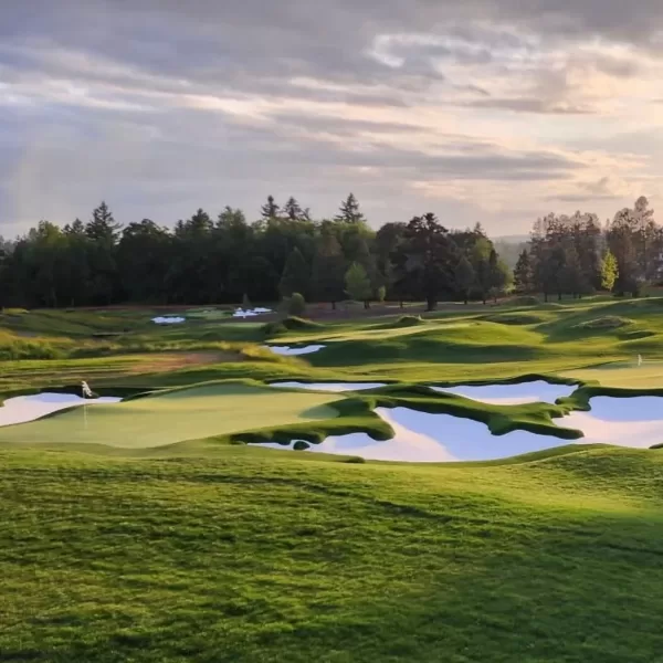 Shortland Golf Club 19-hole Public Par 3 Golf Course by Celebrity Greens