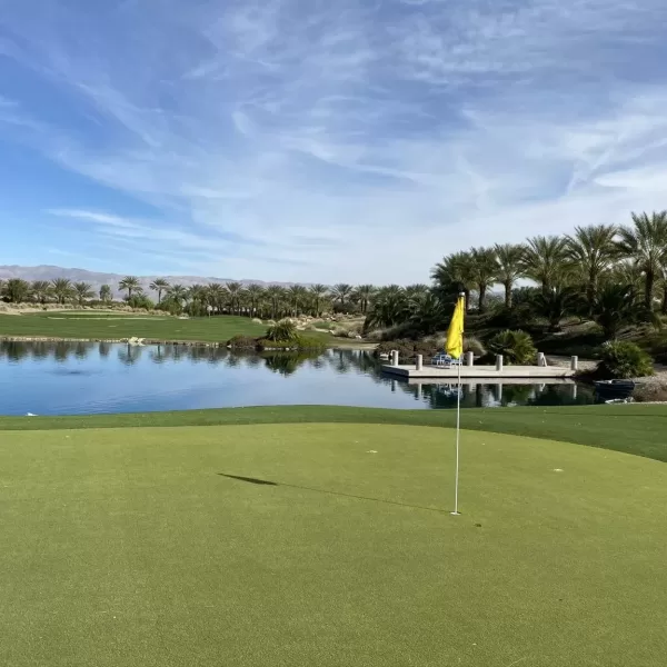 Zenyara Project Palm Desert CA 1