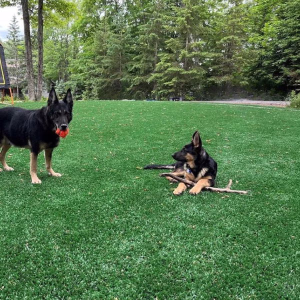 pet and child safe artificial grass installers